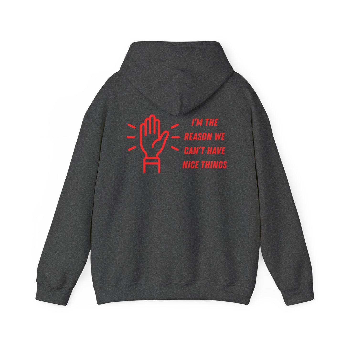 Hooded Sweatshirt - I'm the Reason We Can't Have Nice Things