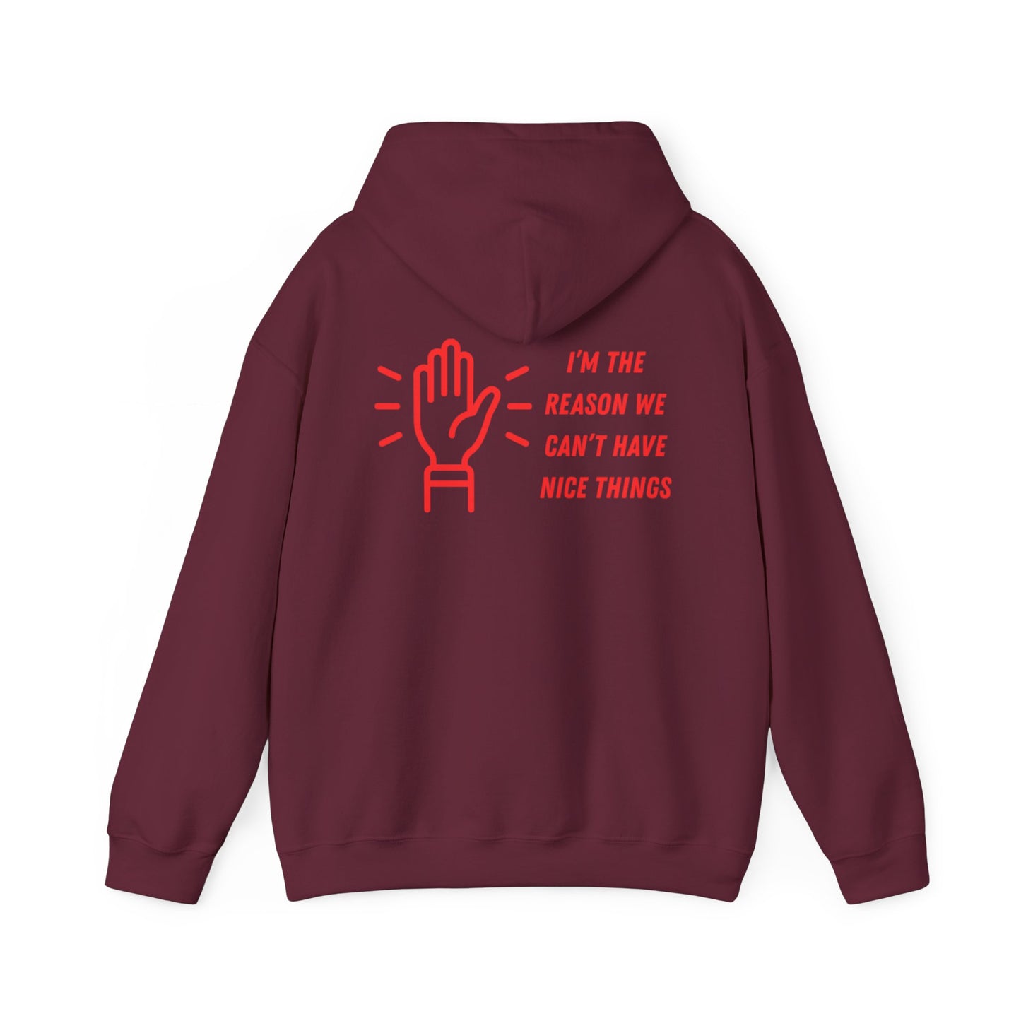 Hooded Sweatshirt - I'm the Reason We Can't Have Nice Things
