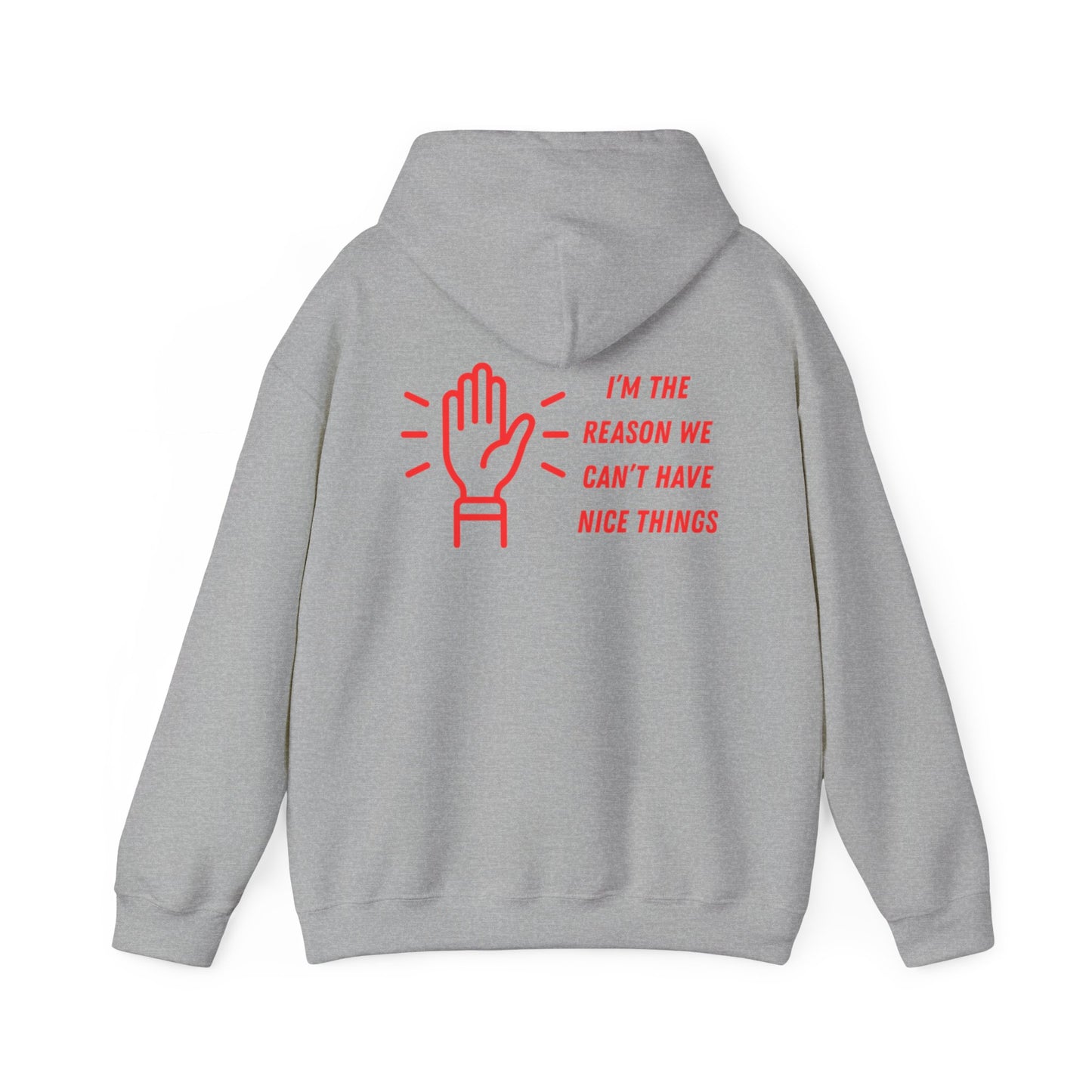 Hooded Sweatshirt - I'm the Reason We Can't Have Nice Things