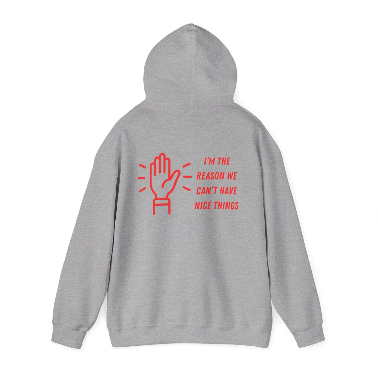 Hooded Sweatshirt - I'm the Reason We Can't Have Nice Things