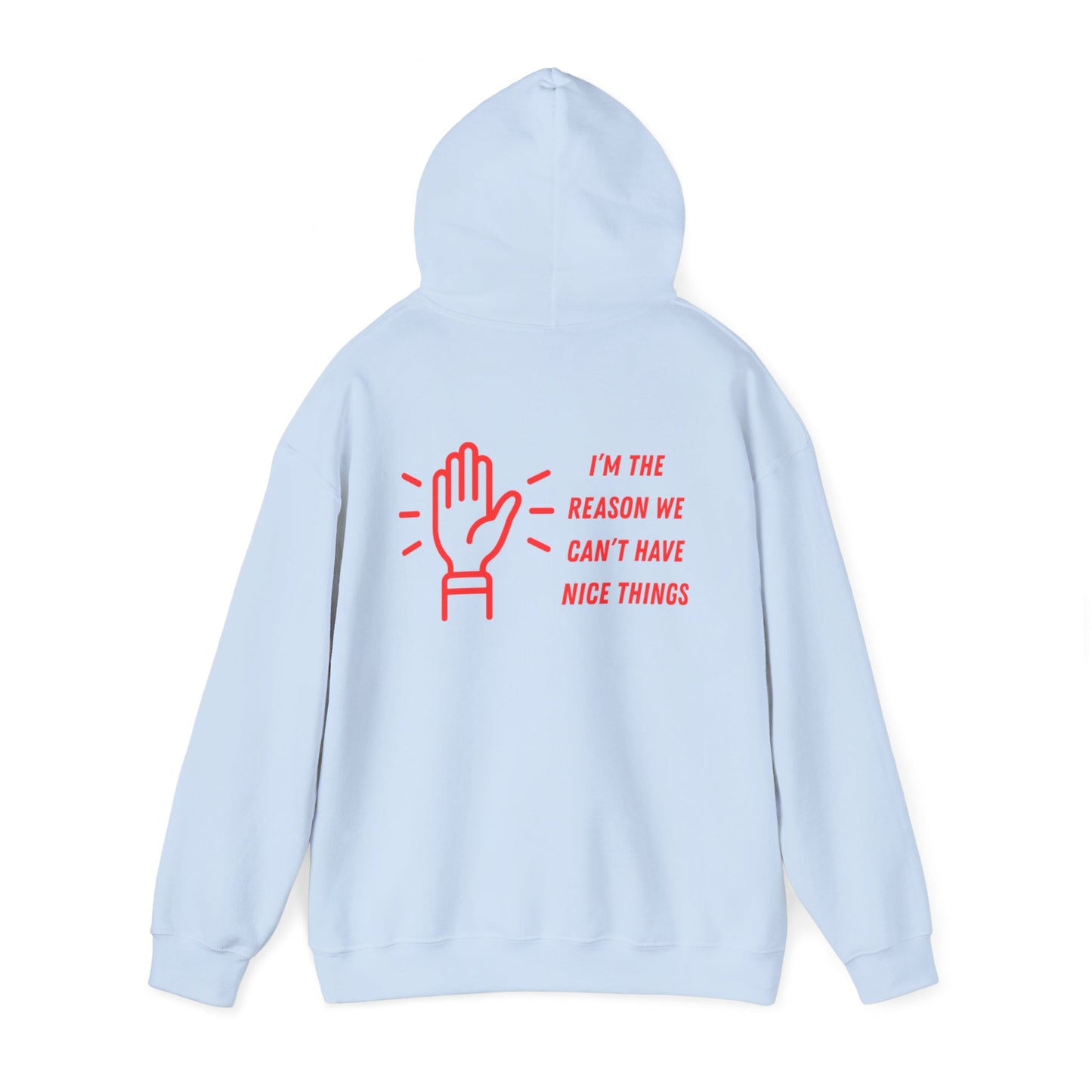 Hooded Sweatshirt - I'm the Reason We Can't Have Nice Things