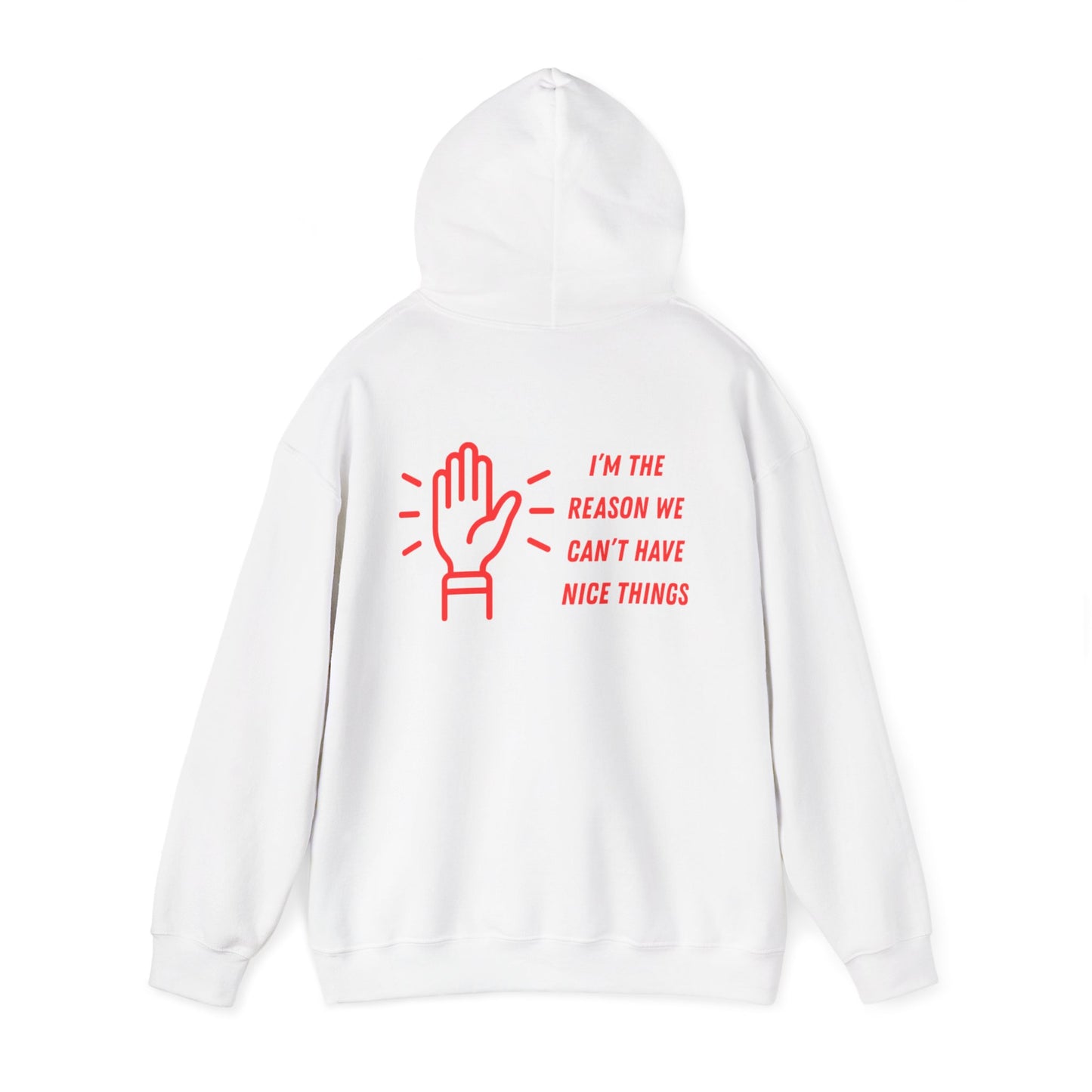 Hooded Sweatshirt - I'm the Reason We Can't Have Nice Things