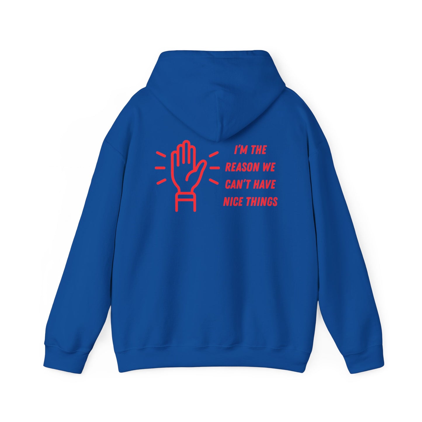 Hooded Sweatshirt - I'm the Reason We Can't Have Nice Things