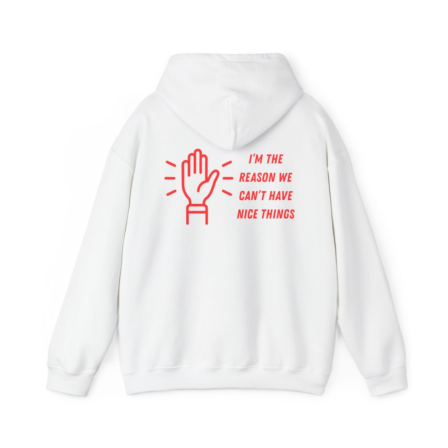 Hooded Sweatshirt - I'm the Reason We Can't Have Nice Things