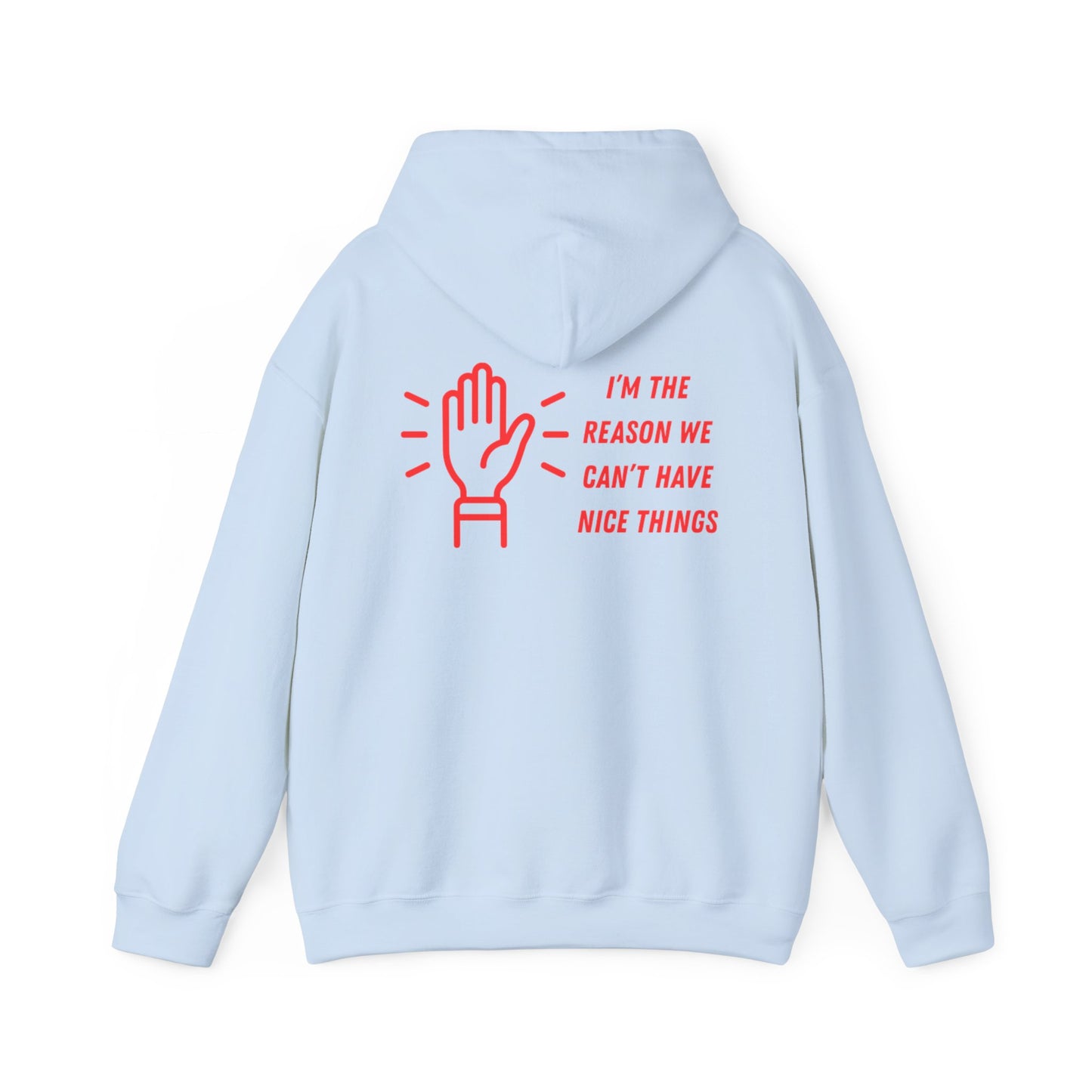 Hooded Sweatshirt - I'm the Reason We Can't Have Nice Things