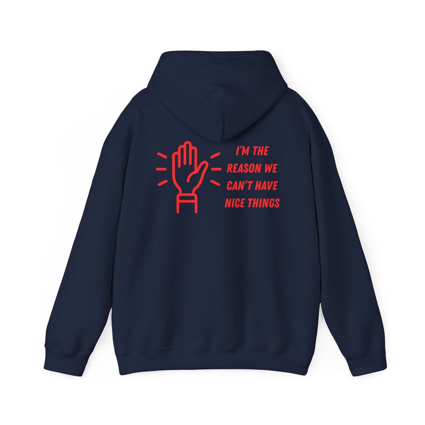 Hooded Sweatshirt - I'm the Reason We Can't Have Nice Things